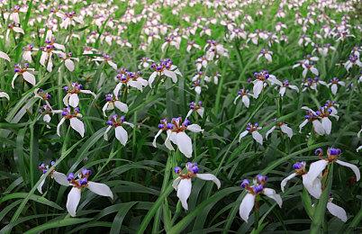 央视CCTV2报道PS5涨价：竞争对手销售不佳 索尼趁机涨价